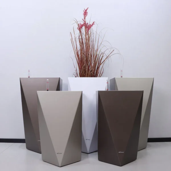 DIAMOND PLANTER - Image 8
