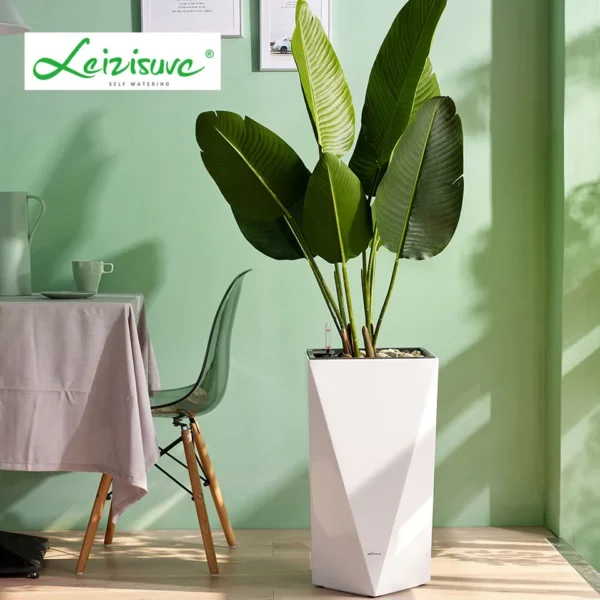 DIAMOND PLANTER - Image 7